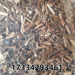 中药材 酸浆草 醡浆草 酸酸草灯笼草 毛酸浆鬼灯笼 苦灯笼 红姑娘图2