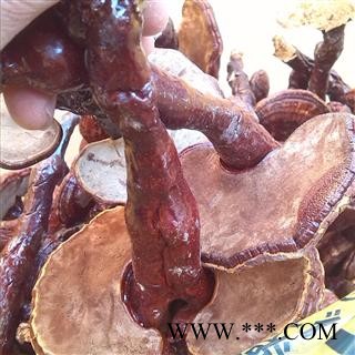 灵芝 统 产地 安徽省六安市金寨县图3