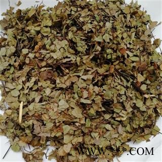 猪鬃草 中药材 猪鬃草 铁线草 铁线厥 水猪毛七图3