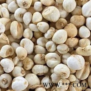 平贝母 平贝母小珍珠 0.5左右 选货 小贝母 实物图 产地 吉林省图4