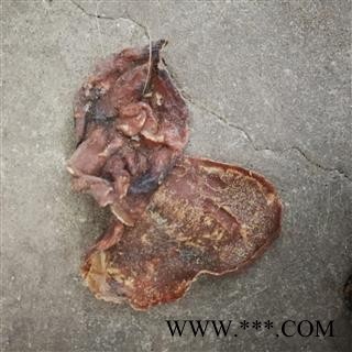 猫衣  猫胎衣 猫胎盘图3