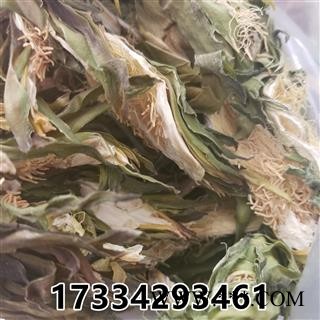 霸王花 昙花 剑王花 霸王草图2