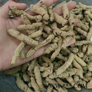 大巴戟肉 大巴戟天 产地直销 巴戟肉一级个0.8 专注高品质中药材 产地 广西壮族自治区图2