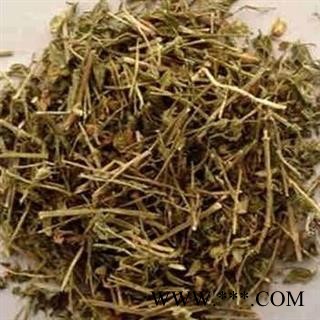 瑞森药材行新货中药材 小米草 芒小米草 小米草图2