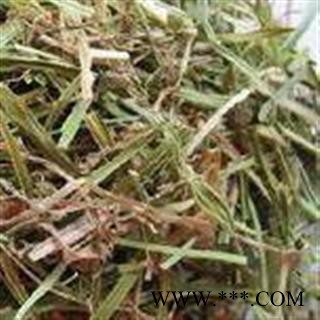 圣草康园中药材肺筋草.肺心草粉条儿菜 小肺金草 土瞿麦 蛆儿草 野韭菜 金线吊白米图2