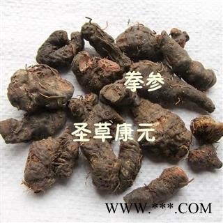 圣草康园中药材拳参 紫参 草河车甘肃产地图3