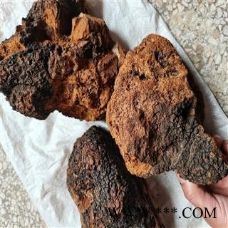 白桦茸 个 桦树茸 产地 黑龙江省双鸭山市 可打粉图3