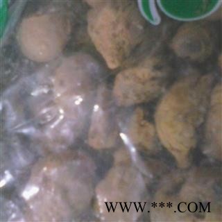 圣草康园 水三七 水田七 水三七 土三七 屈头鸡图2