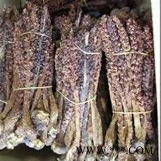 圣草康园不老草 草苁蓉   无污染图2