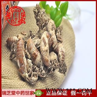 蝉花统货 金蝉花 正品饱满 别称-蝉蛹草 中药材 药典正品 蝉茸 冠蝉 胡蝉 螗蜩 唐蜩瑞芝堂产地直销 1000克一站购齐图4