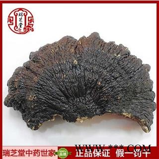 灵芝 海南薄树芝 薄盖灵芝 瑞芝堂产地直销1000克图2