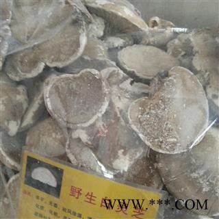 圣草康园白灵芝   白灵芝 产地贵州图2