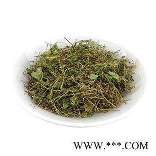 荷包草 小金钱草 铃心草 马蹄金 黄胆草 小碗草图4