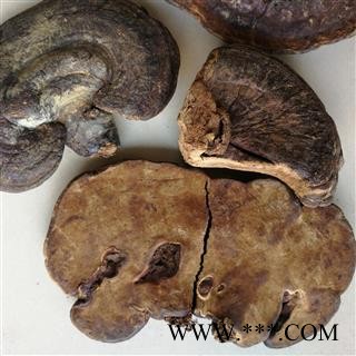 九盛堂中药材 粗毛褐孔菌 云南灵芝 槐蘑图2