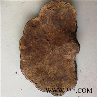 九盛堂中药材 粗毛褐孔菌 云南灵芝 槐蘑图4