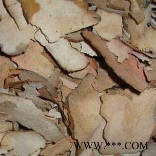 土茯苓 选 统 产地 江西省图2