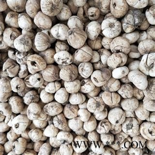 青贝 青贝大选货 产地 青海省图3