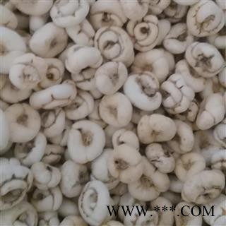 平贝母 大选平贝母 产地 吉林省图3