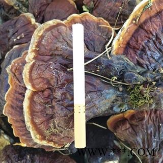 灵芝 长白山纯正野生灵芝 产地 吉林省白山市抚松县图3