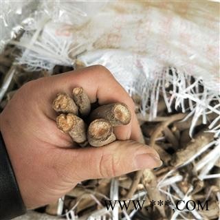 赤芍个 河北野生赤芍 产地 河北省图3