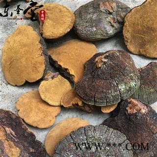 野生桑黄  紫油黄 仿桑树桑黄 味清香入口生津止渴图4