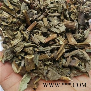 瑞森药材行 菊苣 苦苣 苦菜 卡斯尼 皱叶苦苣 明目菜 咖啡萝卜 咖啡草菊苣草图2