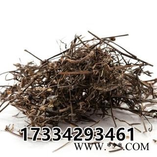 蛇舌草  农家白花蛇舌草 竹叶菜 蛇利草 中草药材图2