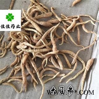 太子参 太子参大统货 无硫货 供应各种中药材  产地 贵州省图3