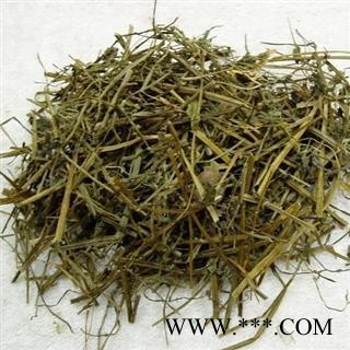 半枝莲   半支莲 半枝连 铁树叶 中药材供应图2