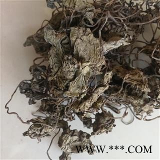 瑞森药材行 青天葵 毛唇芋兰 珍珠叶 假天麻 独叶莲 独脚莲 坠千斤 铁帽子 山米子 青莲 磨地沙 半边伞 小胖药图4