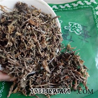 中药材垂盆草垂盆草 老鼠芽 垂盘草 吊草图2