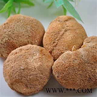 娟子中药 猴头菌 猴头菇 产地 浙江图3