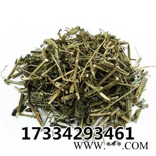 穿心莲  川心莲 一见喜 中草药材图4