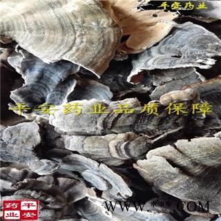 平安药业 云芝 正品 千层蘑 彩纹云芝 黄云芝 灰芝 瓦菌图4