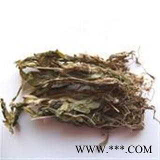 圣草康园中药材见血清 见血青图2