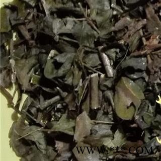 圣草康园老虎刺、绣花针、伏牛花、虎刺、老鼠刺图2