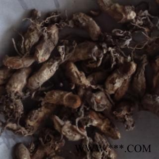 灵吉药业  金蝉花，蝉花  道地药材 货真价实 优质 正品图2