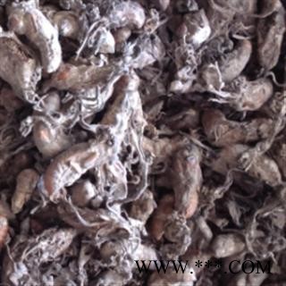 灵吉药业  金蝉花，蝉花  道地药材 货真价实 优质 正品图3