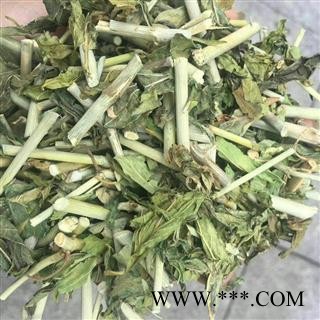 圣草康园黎王草忧遁草、柔刺草、青箭、沙巴蛇草、竹节王图2