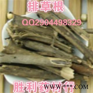 圣草康园中药材香排草 香排草根、新货香排草根图2