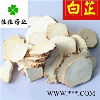 白芷 选 大选片 大片 颜色好 白芷片 产地直销 供应各种中药材 产地 山东省图2