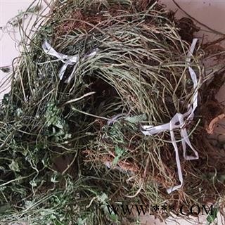 圣草康园 带根全草 岩黄连 岩黄莲 岩连 产地 广西柳州市图2