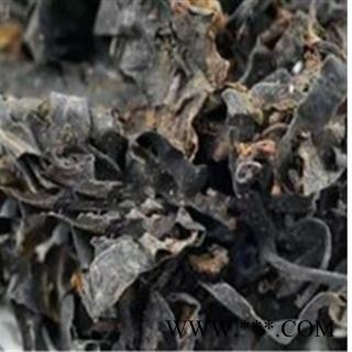 昆布 统 产地 山东省图2
