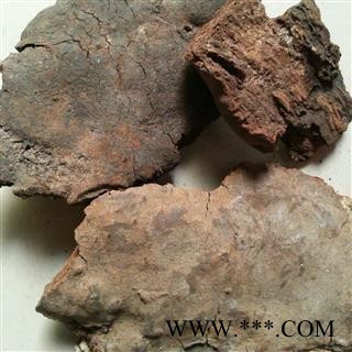 圣草康园 斑褐灵芝（树皮芝）海南产地图2