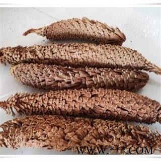 九盛堂 铁树花  干花 铁树雄花 凤尾蕉 另有雌花图2