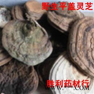 圣草康园中药材长白山  平盖灵芝 无污染图2