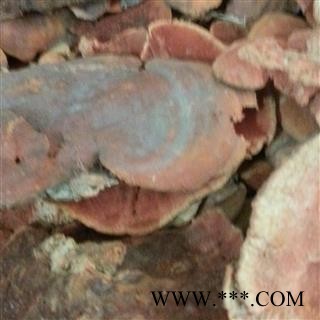 圣草康园中药材灵芝长白山红栓菌 血红栓菌 朱红栓菌图3