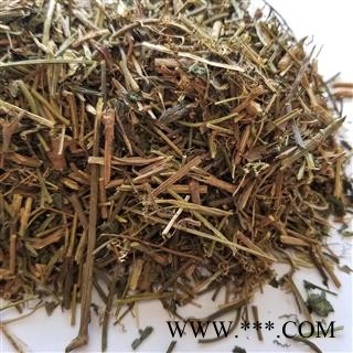 青鱼胆草 蔓龙胆 鱼胆草 对叶林 抽筋草喷七 鱼鳅藤图1