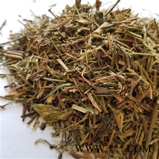 青鱼胆草 蔓龙胆 鱼胆草 对叶林 抽筋草喷七 鱼鳅藤图2