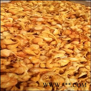 诺源中药材特大孢子头金虫草  金虫草实物拍摄图2